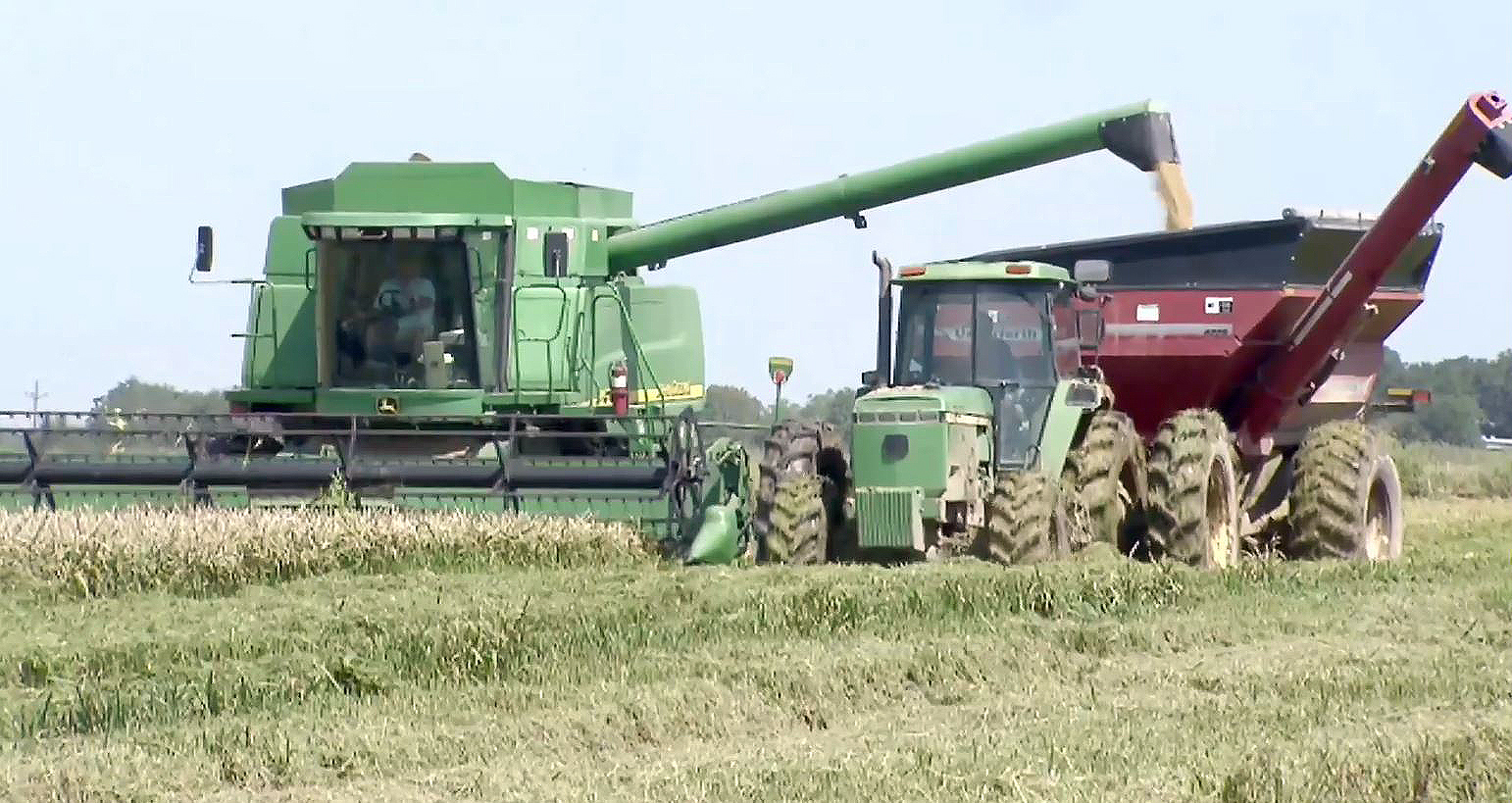Late summer rains dampen 2022 harvest